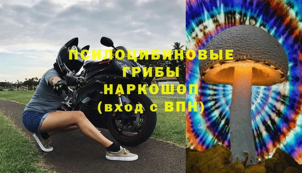 каннабис Новодвинск