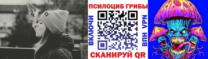 Галлюциногенные грибы прущие грибы гидра tor Переславль-Залесский