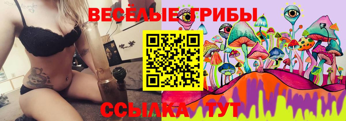 Переславль-Залесский  Псилоцибиновые грибы прущие грибы  Вход с VPN 